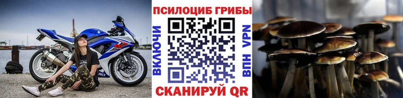 Галлюциногенные грибы мицелий  Купить закладки  Новомичуринск 